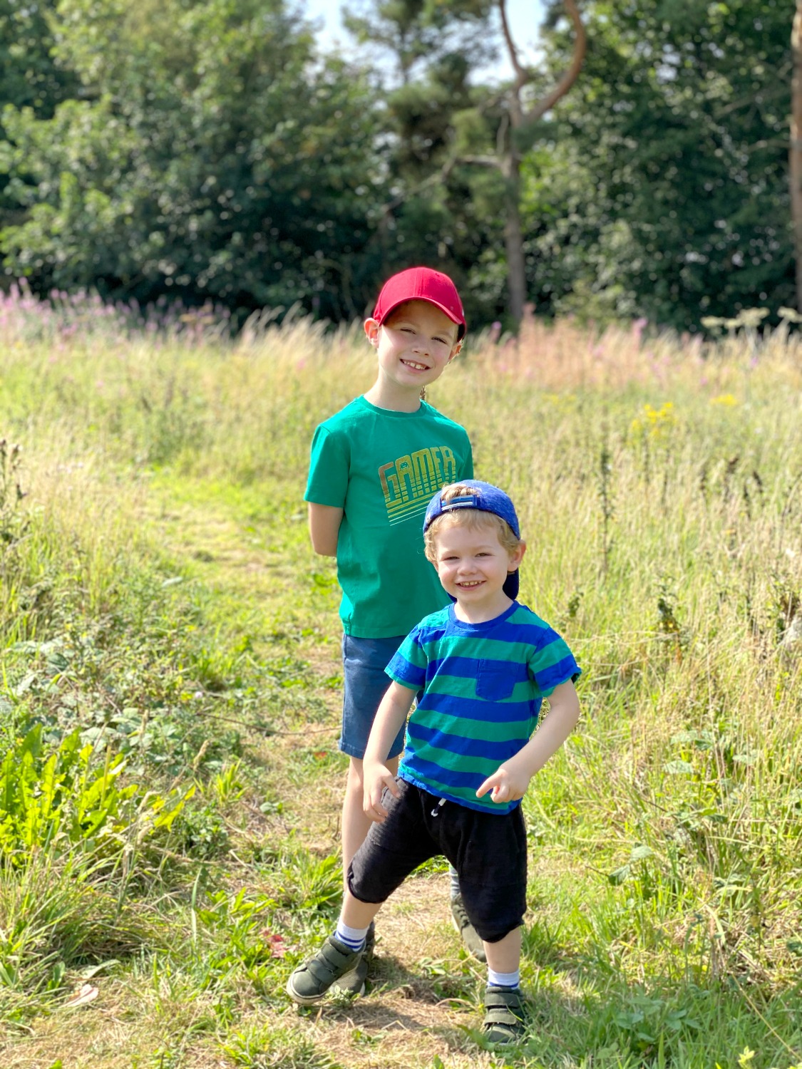 National Trust field