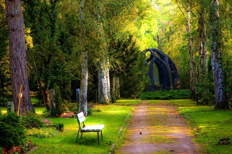 How To Upgrade Your Outdoor Space Without Breaking The Bank