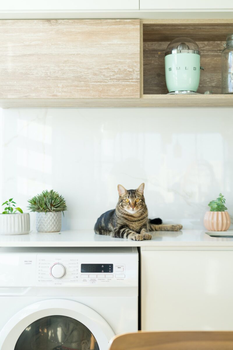 What Are Some Easy Ways to Descale the Washing Machine?