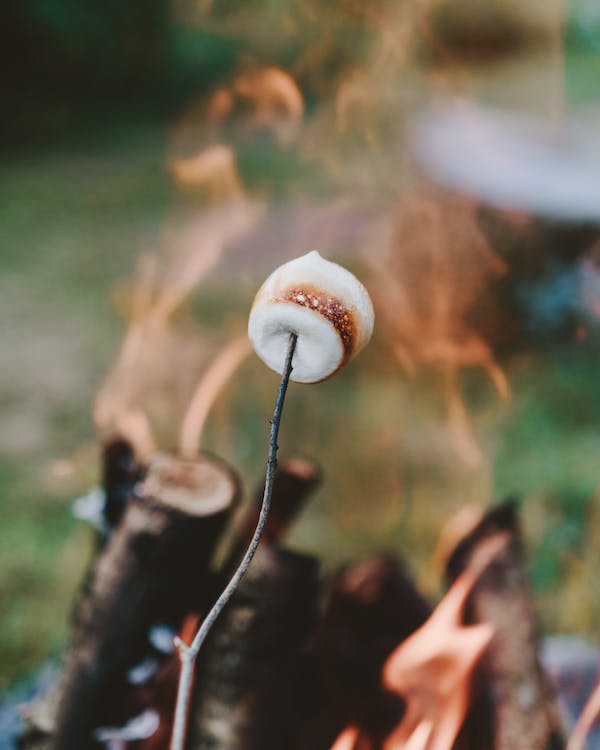 The Benefits of Spending Your Family Holidays in a Log Cabin Pod