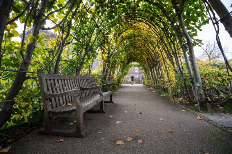 Great Walks to Discover in and Around London