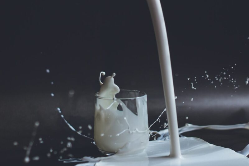 Which Dairy Products You Can Make at Home with Milk Pasteurization Machine: A Comprehensive Guide
