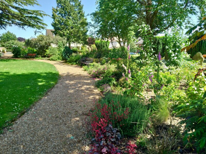 Top tips for getting your garden ready for Summer