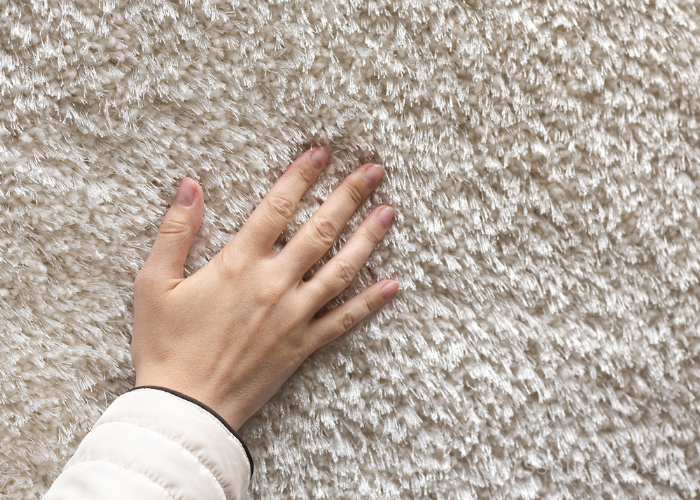 Secrets for Effective Carpet Cleaning Revealed