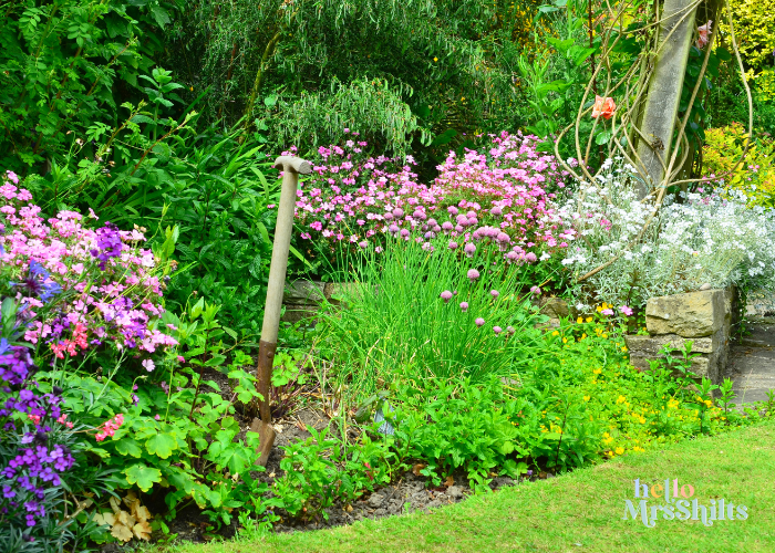 Making Plans for Improving Your Garden in 2026
