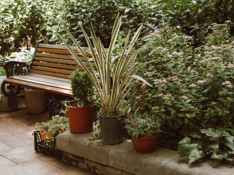 The Little Garden Upgrade That Made Family Time Even Better